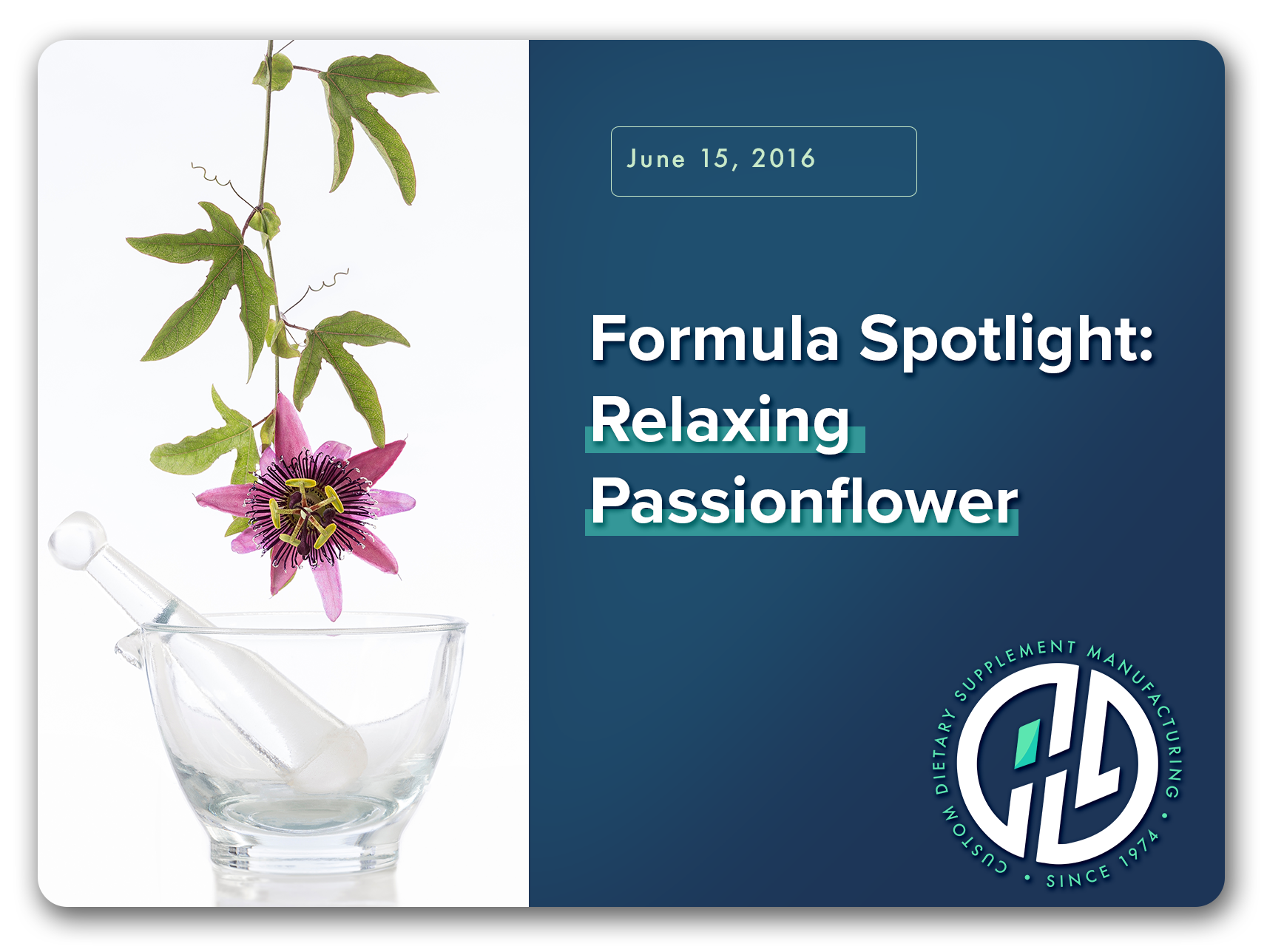 Relaxing Passion Flower